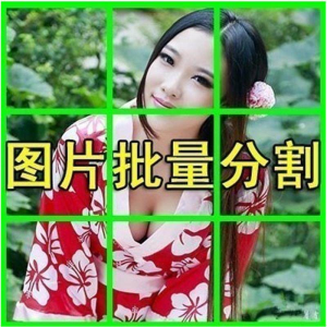 图片批量切割软件 图片批量分割工具 批量切图器 图片批量裁剪-优资源网