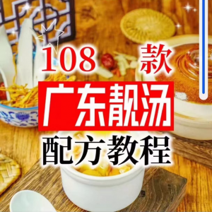 【拍下即送】108种广东靓汤视频教程100+广府靓汤商用技术实体店-优资源网