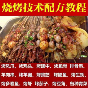 正宗全国烧烤技术配方全套视频教程配料技巧制作培训教学资料大全-优资源网