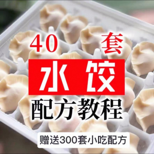 【0.01秒发】40套水饺技术配方 特制技术视频教程-优资源网