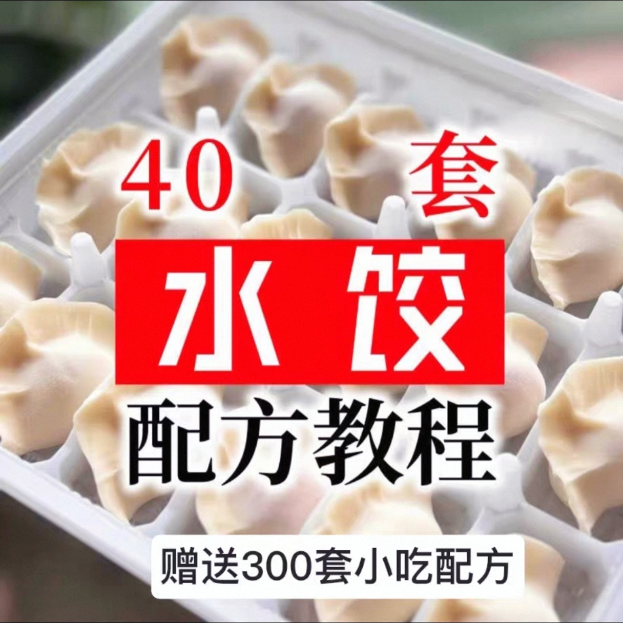 【0.01秒发】40套水饺技术配方 特制技术视频教程-优资源网