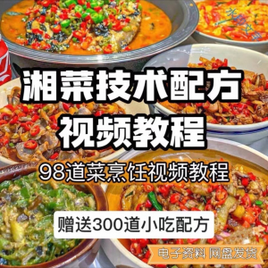 【0.01秒发】98道湘菜技术配方视频教程商用湖南菜炒菜特色小吃-优资源网