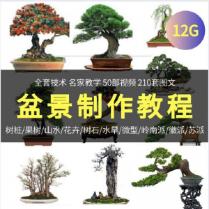 盆景制作技术视频教程工艺教学果树桩山水微型造型全套-优资源网