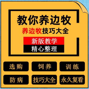 边牧训练方法教程边境牧羊犬驯养技术饲养喂养选购训犬技巧大全套-优资源网