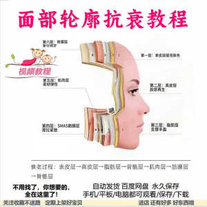 美商课程面部轮廓抗衰美肤减龄变美视频教程形象管理内在美好气色-优资源网
