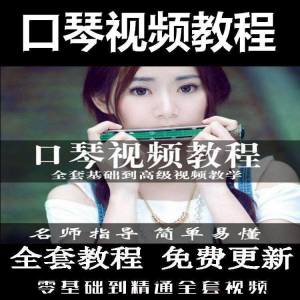 口琴自学教程视频零基础初学者入门到专业十孔24孔教学-优资源网