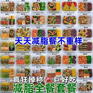 减肥食谱电子版课程 减脂餐一日三餐指导科学健康瘦身配餐计划-优资源网