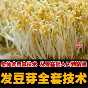 自学发豆芽技术资料豆芽加工制作方法教学 培育豆芽商用视频教程-优资源网