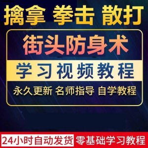 街头防身术擒拿拳击散打视频教程全套入门自学零基础学习教程视频-优资源网