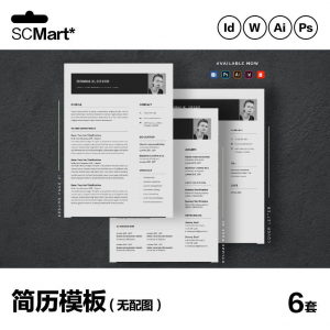 6套高级英文简历Word简历 ai psd设计师简历模板毕业生简历CV29-优资源网