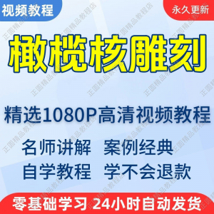 橄榄核雕刻视频学习教程新手自学零基础入门精通教学课程全集-优资源网