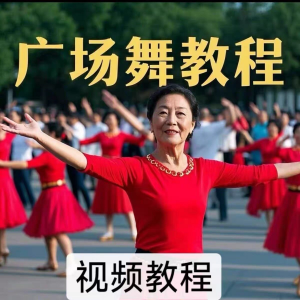 中老年广场舞视频下载高清视频教学打包MP4 MP3背面动作分解教程-优资源网
