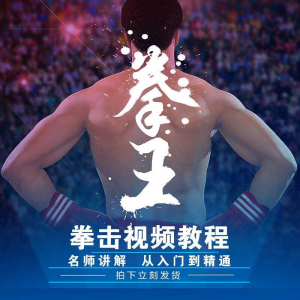拳击教学视频 自学教程 训练零基础运动入门健身搏击格斗武术课程-优资源网