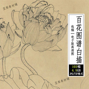百花图谱白描线稿图集 国画花卉植103幅tif格式3.6G高清图片素材-优资源网